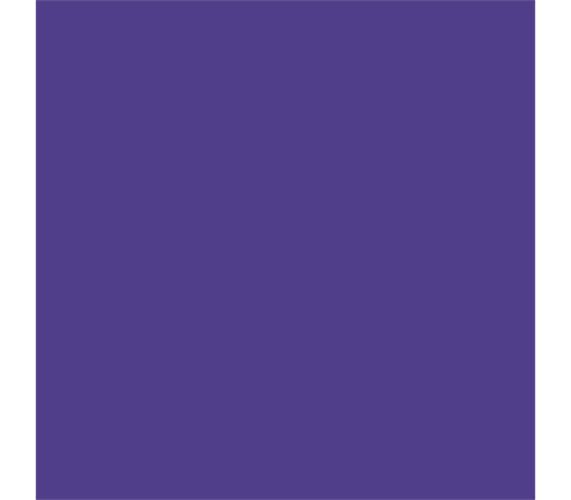 Canson Colorline Heavyweight Paper - 300gsm - 19-inch x 25-inch - Violet