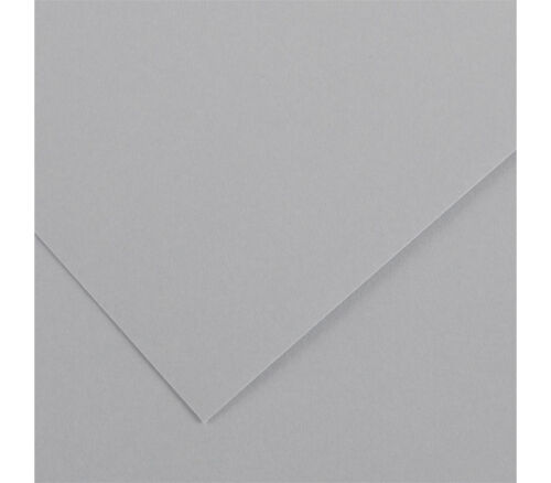 Canson Colorline Heavyweight Paper - 300gsm - 19-inch x 25-inch - Light Gray