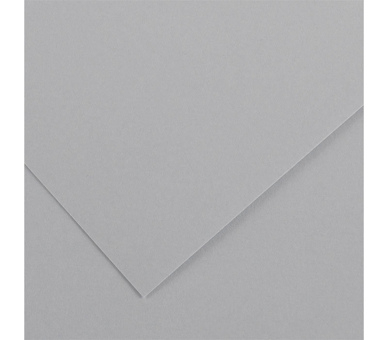 Canson Colorline Heavyweight Paper - 300gsm - 19-inch x 25-inch - Light Gray