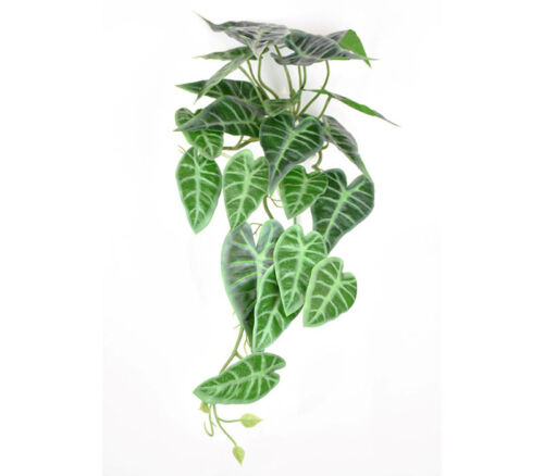 Alocasia Leaf Hanging Greenery - 21.5-inch