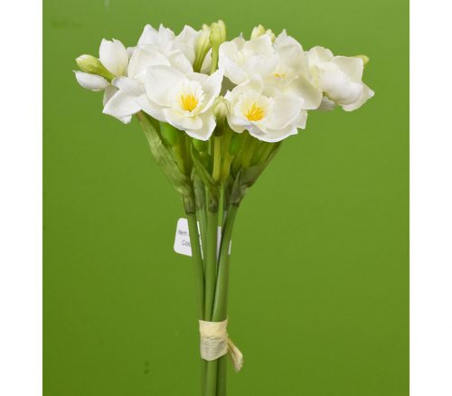 Daffodil Bundle - 5 Stem - 12-inch