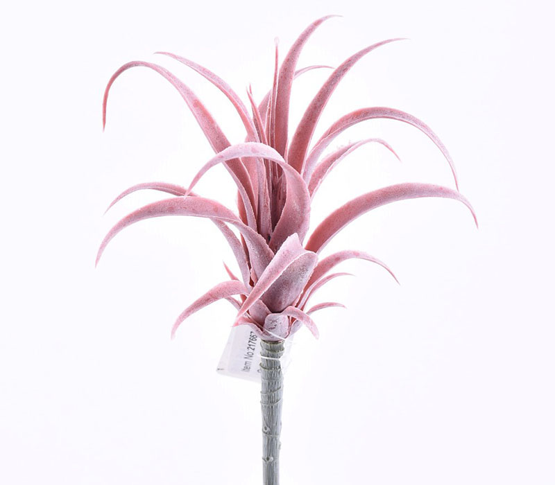 Tillandsia Pick - 7-inch