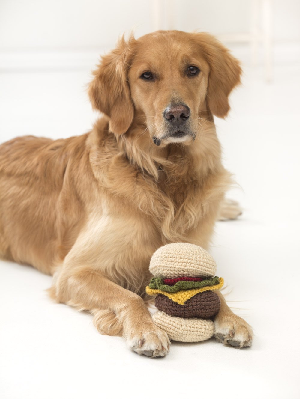 Knit your Dog a Hamburger Toy with Vanna Yarns