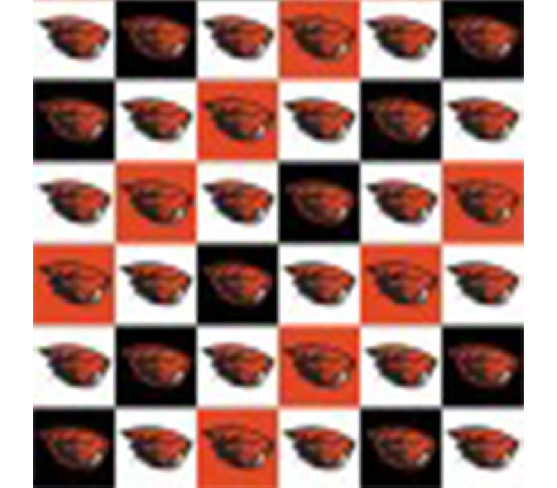 Fabric - Oregon State Diagonal Patch