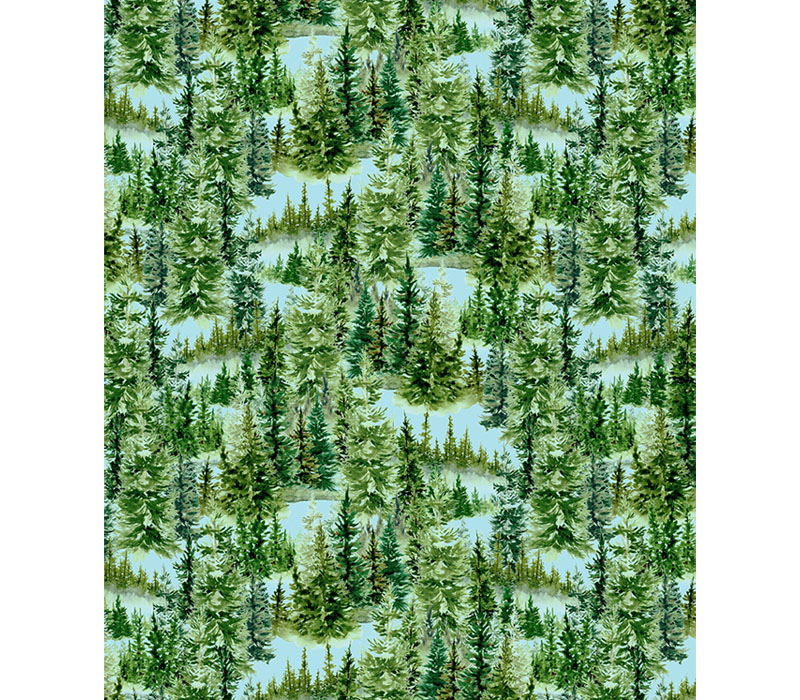 Pacific Northwest Evergreens Scenic in Cascades Blue