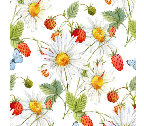 Hedgehog Hollow Daisies and Strawberries on White