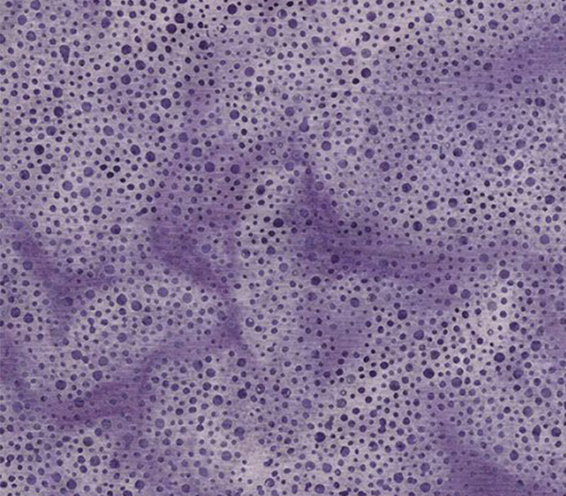 Bee Kind Batiks Dots in Purple Heather #112250425