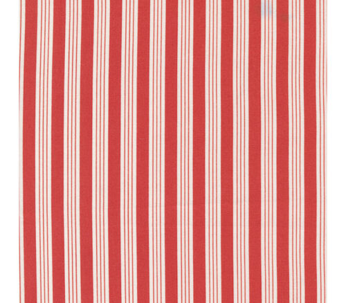 Fruit Cocktail Ticking Stripe Cherry