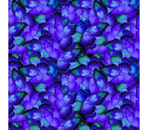 Cosmic Butterfly Butterfly Wings in Purple