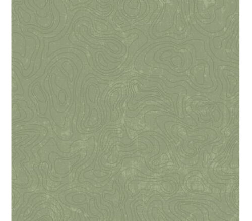 National Parks Topographic in tonal Green