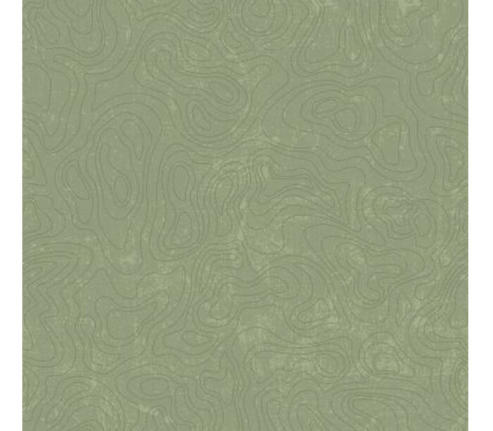 National Parks Topographic in tonal Green