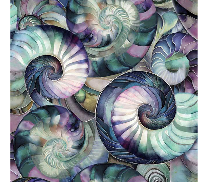 Seashell Soiree Clustered Seashells Multi
