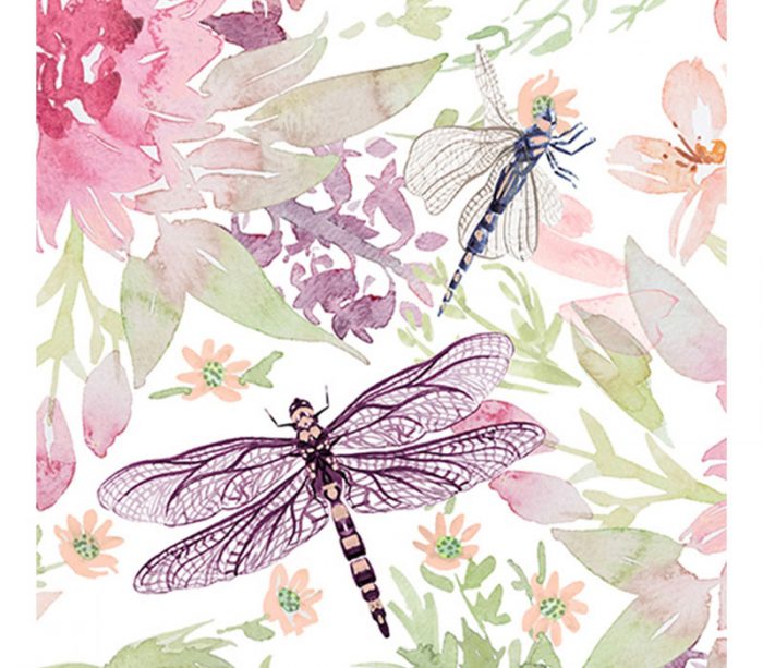 Wild Dragonfly Digital Cuddle on Elderberry