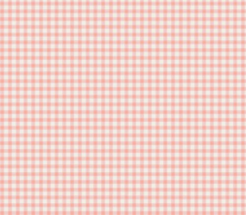 Peter Rabbit Flannel Gingham in Coral and White