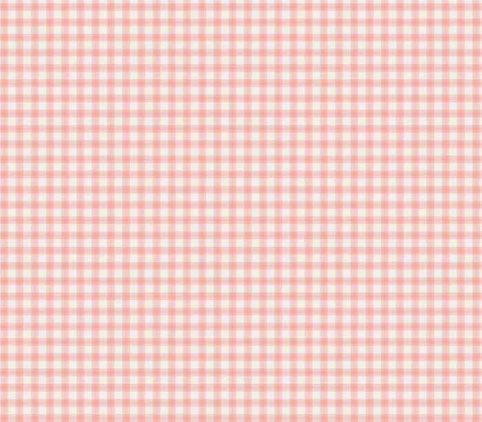 Peter Rabbit Flannel Gingham in Coral and White