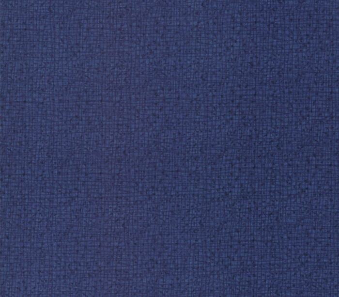Fabric - Robin Pickens Thatches 108 Inch Quilt Wideback In Navy Blue