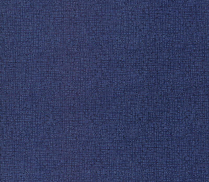 Fabric - Robin Pickens Thatches 108 Inch Quilt Wideback In Navy Blue