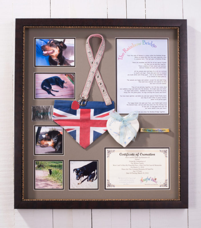 Craft Warehouse Framing Stories - Remembering Sierra