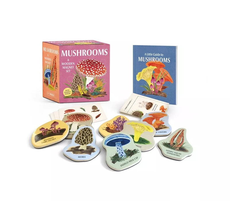 Mushrooms - A Wooden Magnet Set
