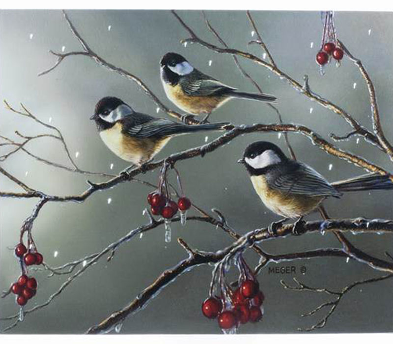Light Up Canvas - Lighted Song Birds