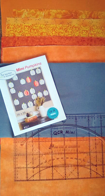 Making Quilt with Mini QCR Ruler