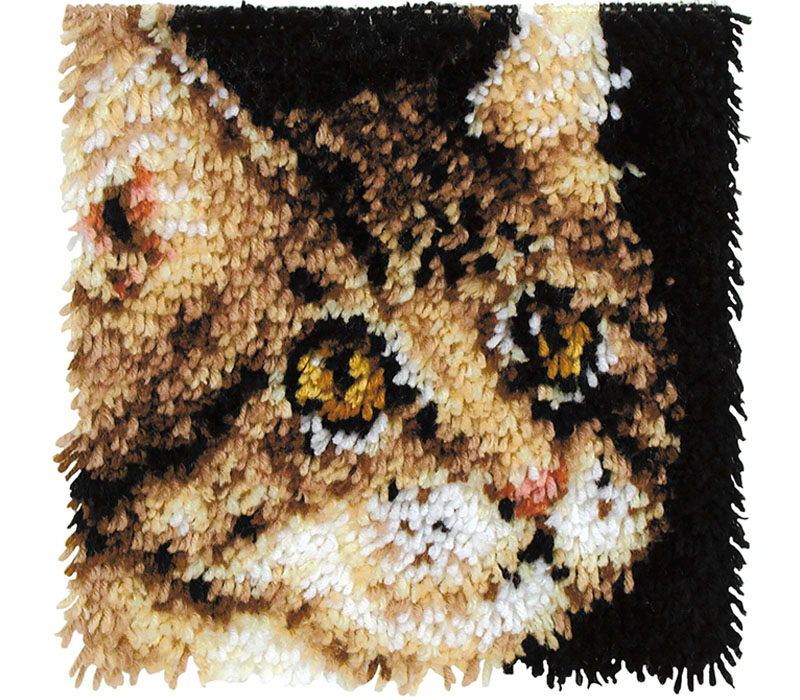 Wonderart Tabby Cat 12-inch x 12-inch Latch Hook #029927
