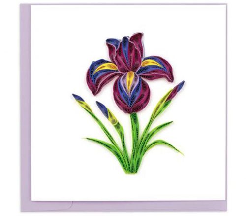 QuillingCard Quilled Greeting Card - Iris Flower
