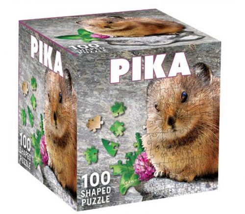Masterpieces Pika Puzzle - 100 Piece