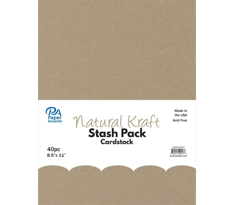 PA Paper Accents Stash Pack - 8-1/2-inch x 11-inch - 40 Piece