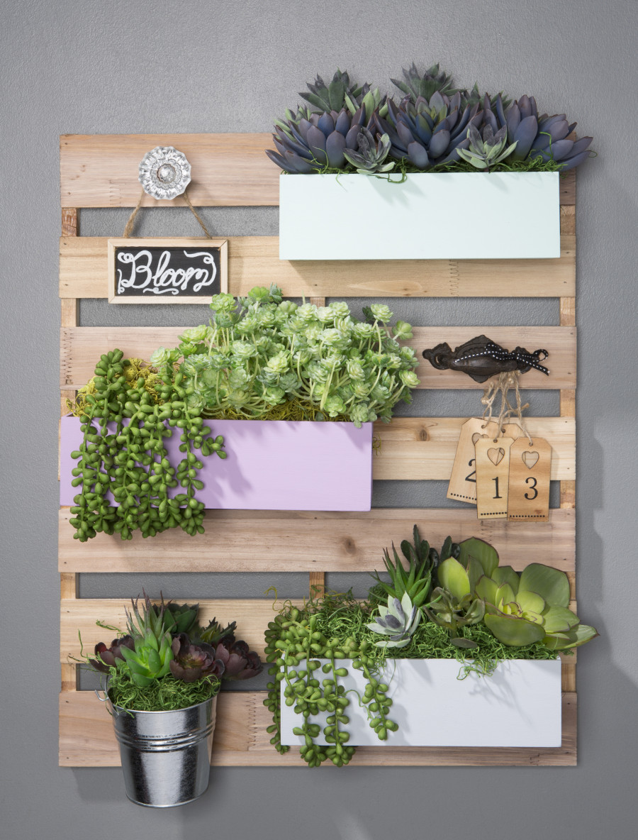 wood pallet board with succulents at Craft Warehouse