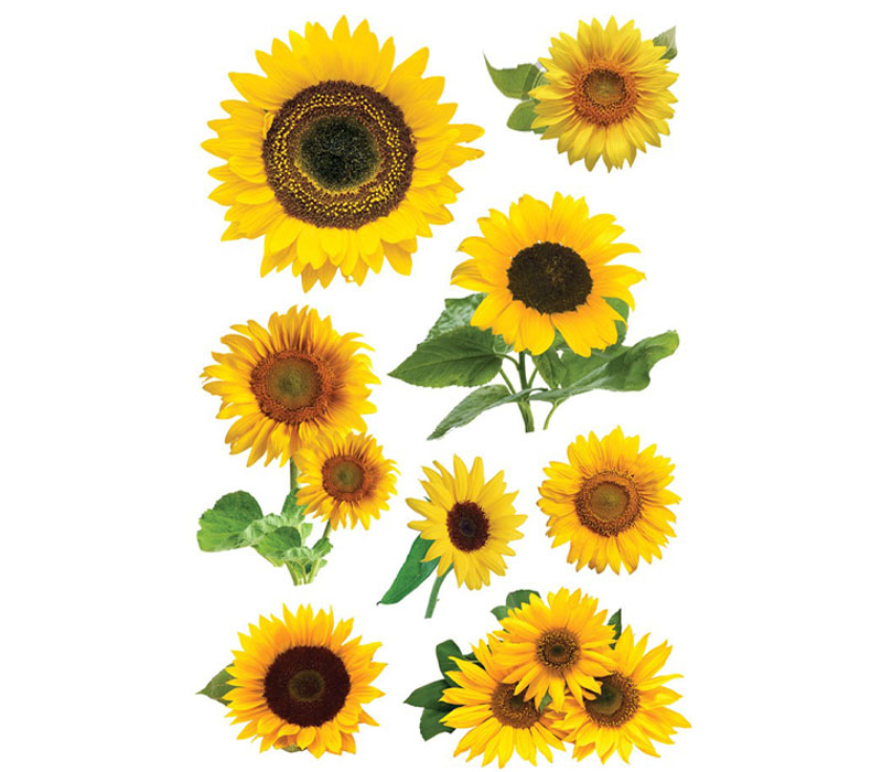 3D Stickers - Sunflower