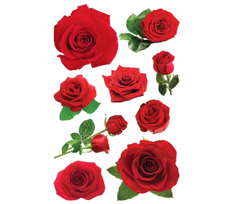 3D Stickers - Rose