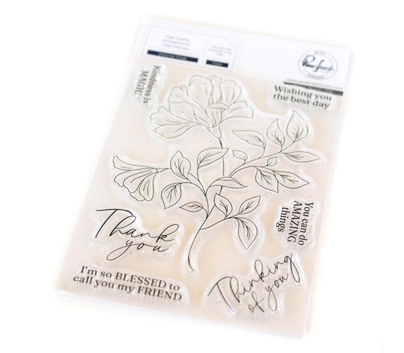 Pinkfresh Studio Stamp - Amazing Things