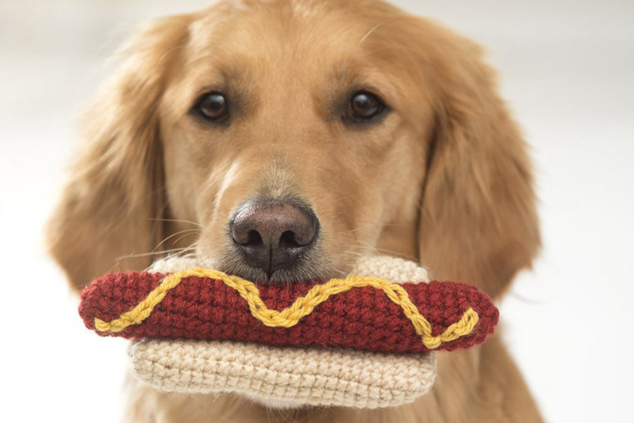 Crochet your pets some treats