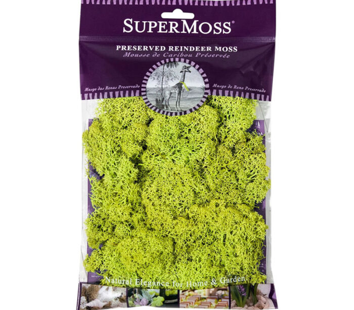 SuperMoss Reindeer Moss - Chartreuse - 2-ounce - Image 3