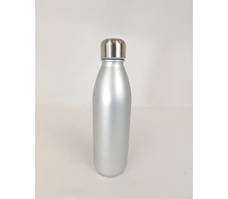 Stainless Steel Sport Water Bottle - 10-inch