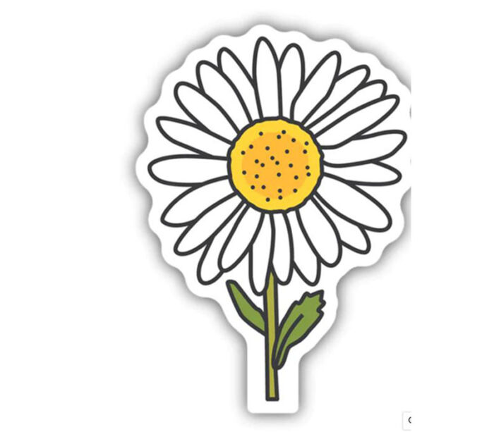 Sticker - DAISY STEM