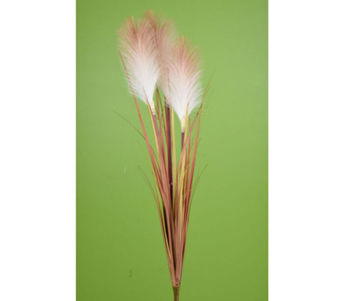 Reed Grass Bush - 30-inch