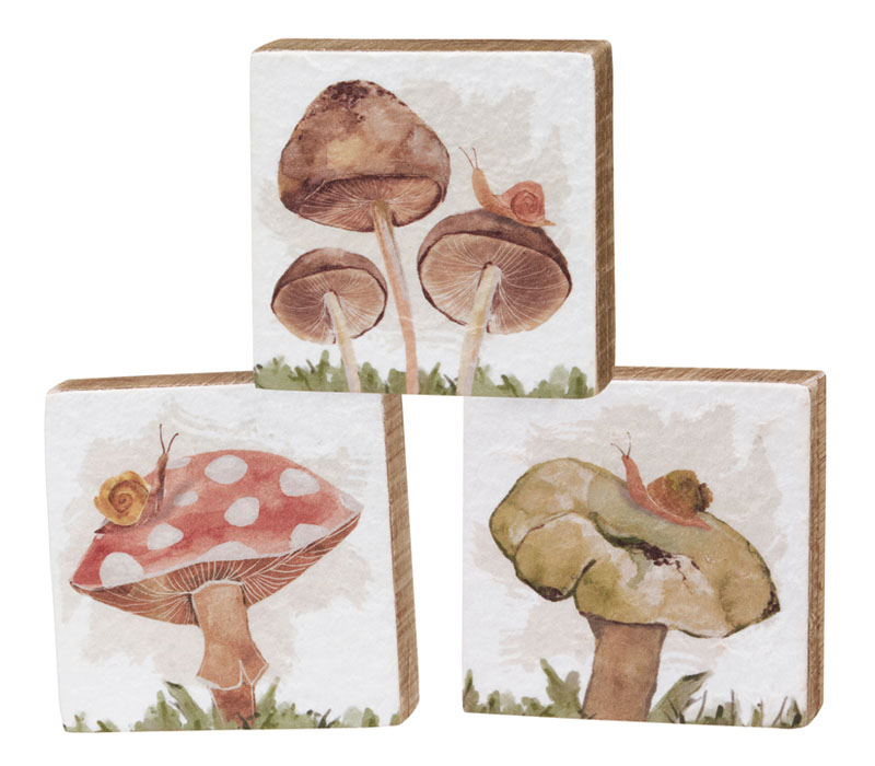 Wild Mushroom Block Sign Set - 3 Piece