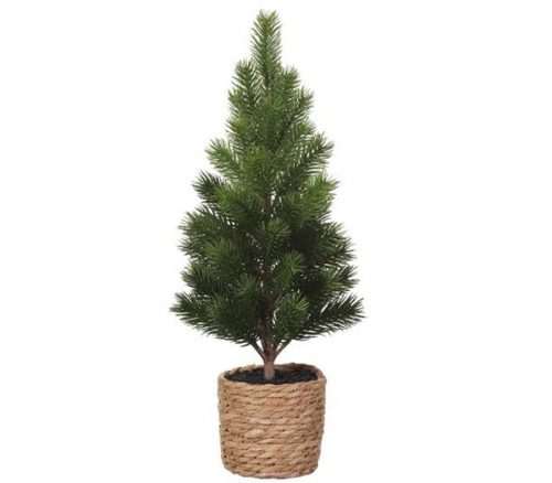 Pine Tree in Basket - 18-inch