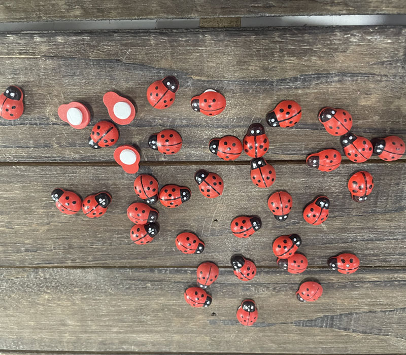 Wooden Ladybugs with Sticker Backs - 36 Piece