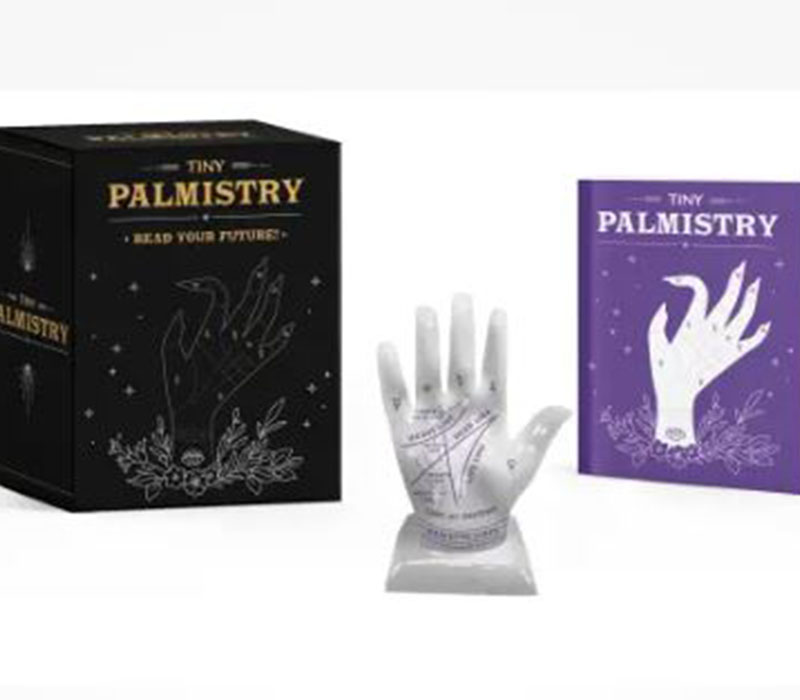 Tiny Palmistry Read Your Future
