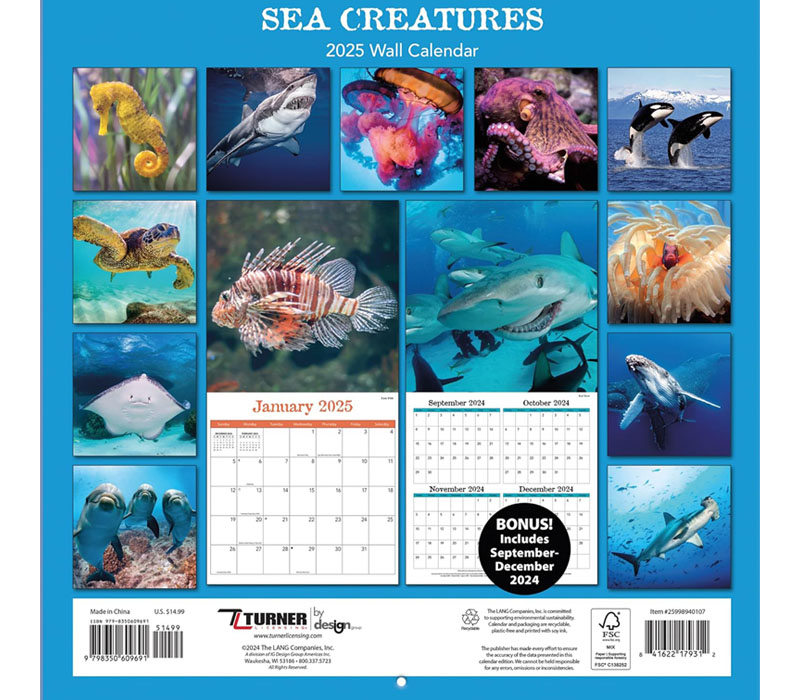 2025 Sea Creatures Calendar