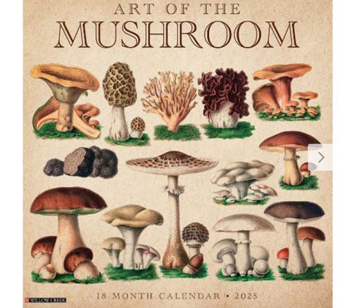 Willow Creek 2025 Art of the Mushroom Wall Calendar