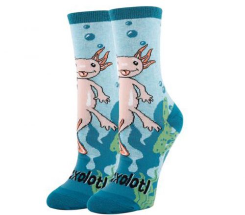 Axolotl Spirit Socks - Womens