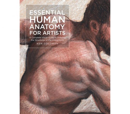 Essential Human Anatomy for Artist Book