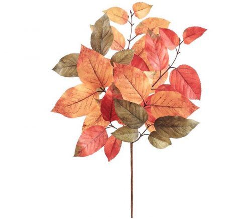 Salal Leaf Pick - 20-inch