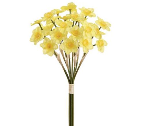 Yellow Narcissus Bundle - 9 Stem - 15-inch