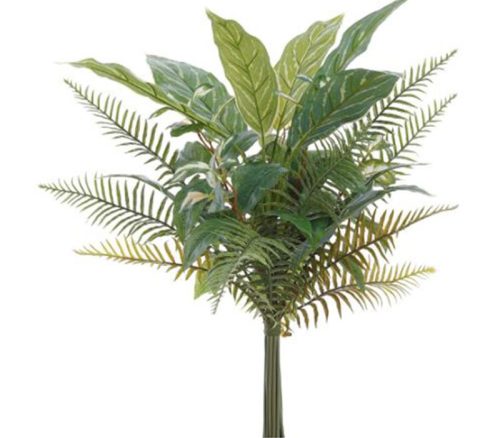 Green Two Tone Fern Aglaonema Drop-In Bundle - 24-inch