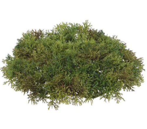 Green Moss Mat - 9-inch